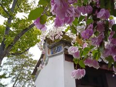 -深圳国际园林花卉博览园