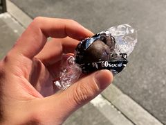 -南京奥林匹克体育中心-体育馆