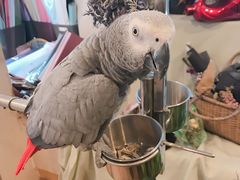 -森野花艺培训·企业团建活动沙龙