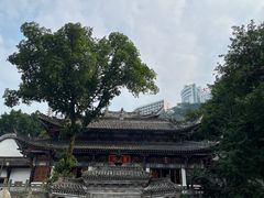 -关岳庙