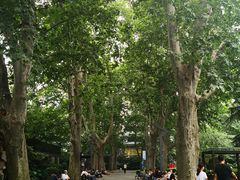 -静安公园(静安寺街道)