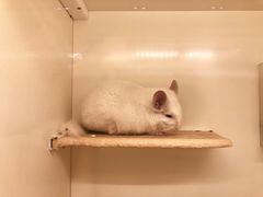 -龙猫仔乐园(惠福东路店)