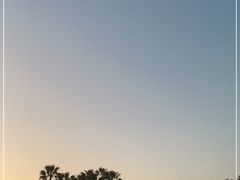 -椰风寨