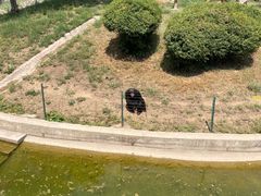 -石家庄市动物园