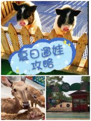 -萌宠亲子动物乐园(槐房万达店)