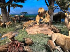 -国家自然博物馆