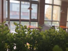 -比格比萨自助(宋家庄店)