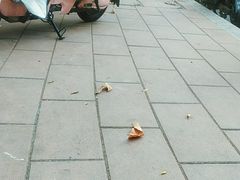 -福州市仓山小学