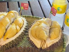 -榴莲BB 四季果园