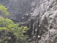 -香桥岩溶国家地质公园