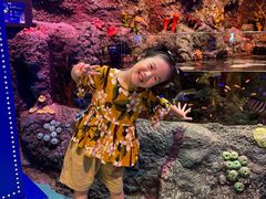 -沈阳海洋探索中心