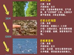 -日照灯塔风景区