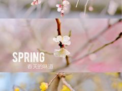 -白塘生态植物园