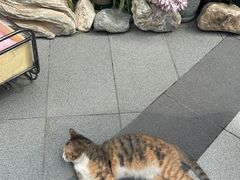 -京北渔家傲
