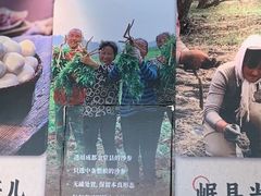 -李子坝梁山鸡(李子坝大鸡哥店)