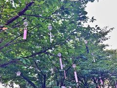 -灞河西岸滨河公园