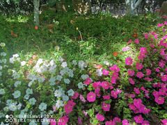 -中国公安部总部大楼