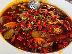 精品毛血旺-普天和酒楼·新津菜·烤鸭(天津之眼店)