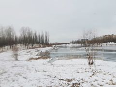 -马家湾湿地公园