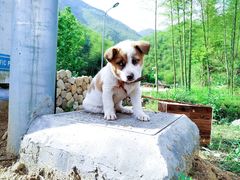 -将军关探险漂流