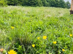 -白草畔自然风景区