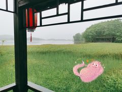-大九湖