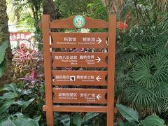 -广东茂名森林公园