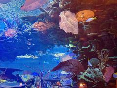 -迪拜帆船酒店海底餐厅