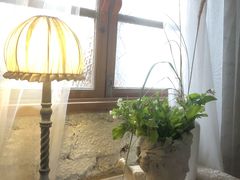 -Jo's Garden
