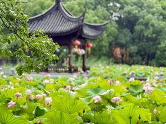 -丝绸小镇荻港古村