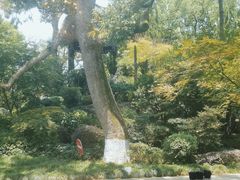 -浙江西子宾馆·瑶园咖啡厅