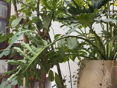 -自如ZSPACE四合院艺术餐厅