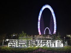 景点-南京眼步行桥