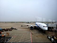 -全日本空输株式会社(上海办事处)