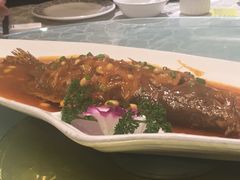 -绿杨春·淮扬宴(庐山路店)