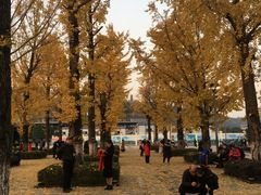 -百林公园-两江幸福广场
