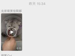 -北京观赏动物医院·24小时大型综合·猫专科·异宠专科