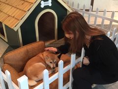 -上海崇明金茂凯悦酒店