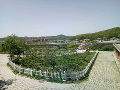 -北马山庄植趣咖啡