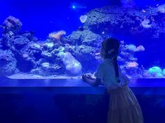 -泉城欧乐堡海洋极地世界