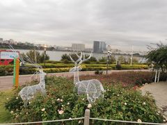 -立新湖公园