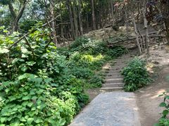 -黔灵山公园