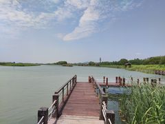 -苏州太湖湖滨国家湿地公园