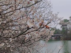 -宝岩生态观光园