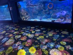 -烟台海昌鲸鲨海洋公园