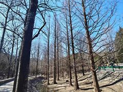 -白水寺森林公园