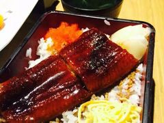 -Hatsune隐泉日式料理(三里屯太古里店)