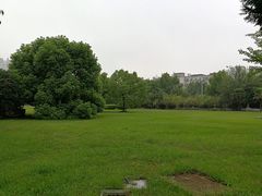 -安徽大学(龙河校区)