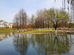 -白塘生态植物园