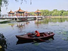 -长春市南湖公园